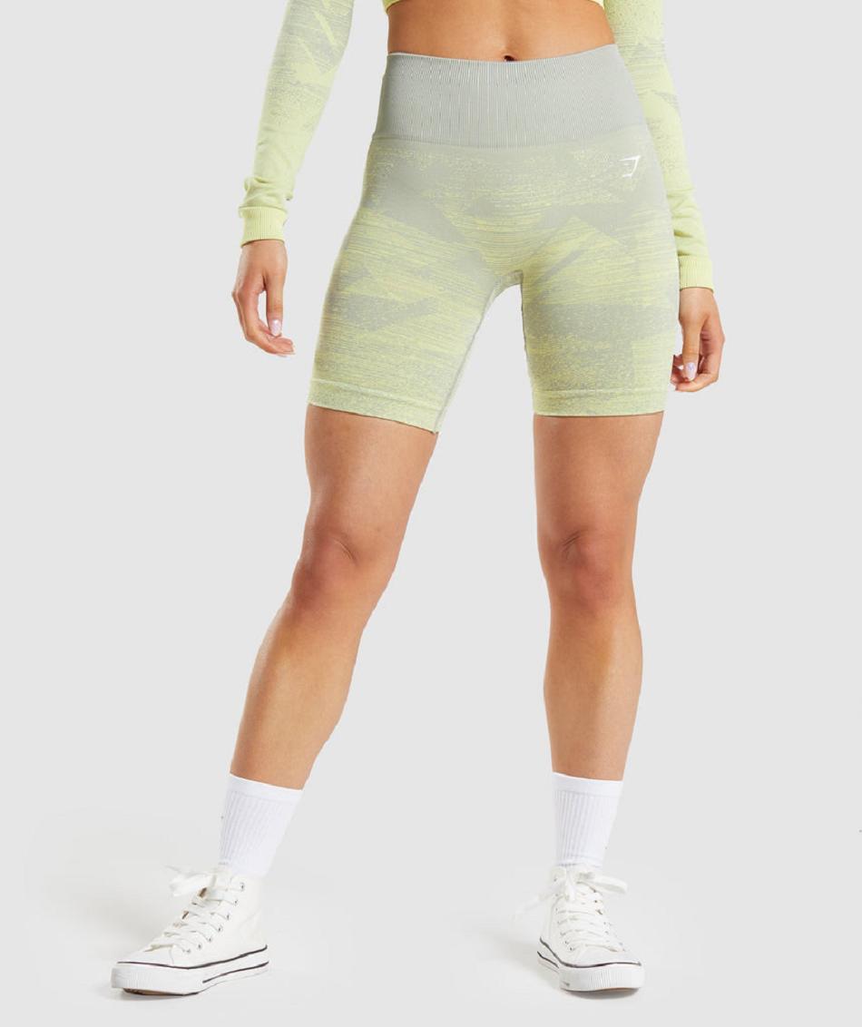 Gymshark Adapt Ombre Seamless Ženske Kratke Hlače Sive Smeđe Sive | HR 3852KOR